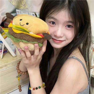 啼笑姻缘（上集）